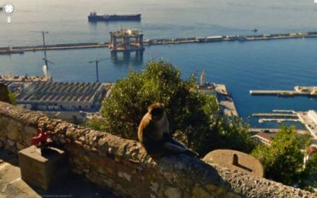 Wierd Finds From 'Google Maps' (48 pics)