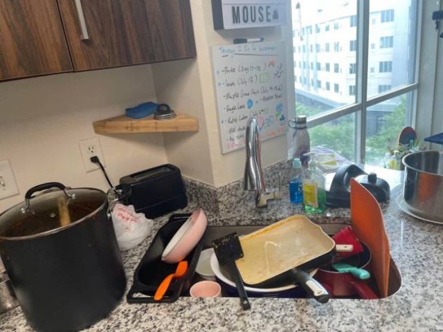 Worst Roommates (19 pics)