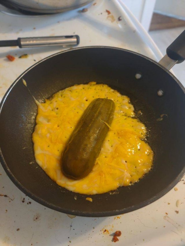 Worst Roommates (19 pics)