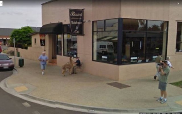 Wierd Finds From 'Google Maps' (48 pics)
