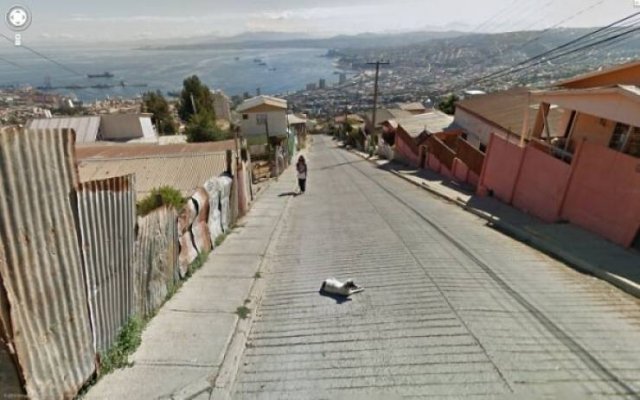 Wierd Finds From 'Google Maps' (48 pics)