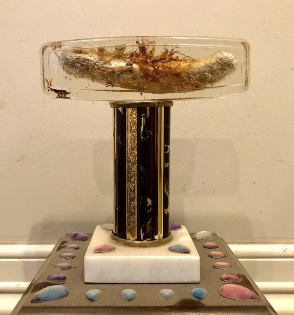 Weird Designs (30 pics)