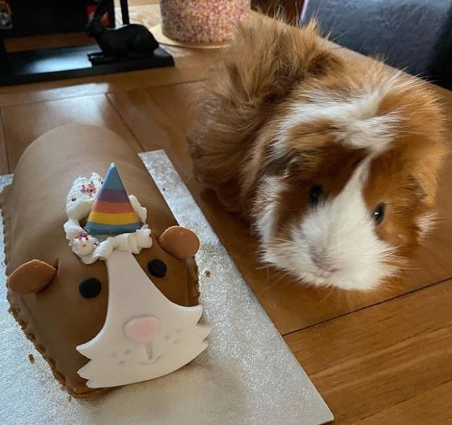 Interesting Gifts (19 pics) Interesting Gifts (19 pics)