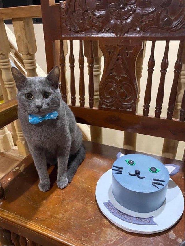 Interesting Gifts (19 pics) Interesting Gifts (19 pics)