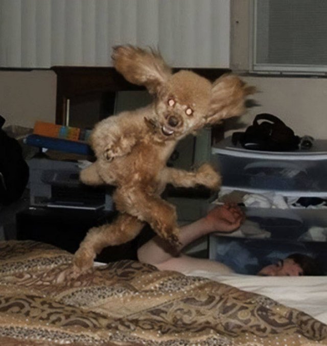 Scary Photos (46 pics)