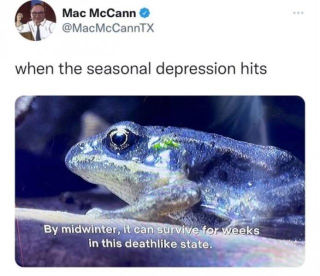 Random Memes (25 pics)