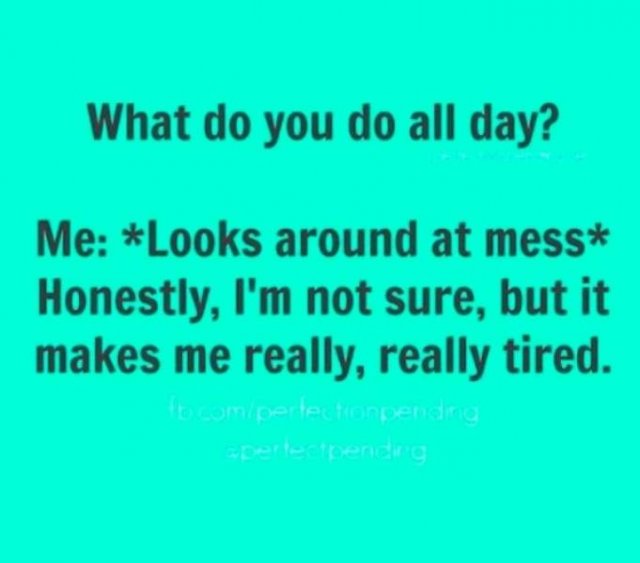 Random Memes (25 pics)