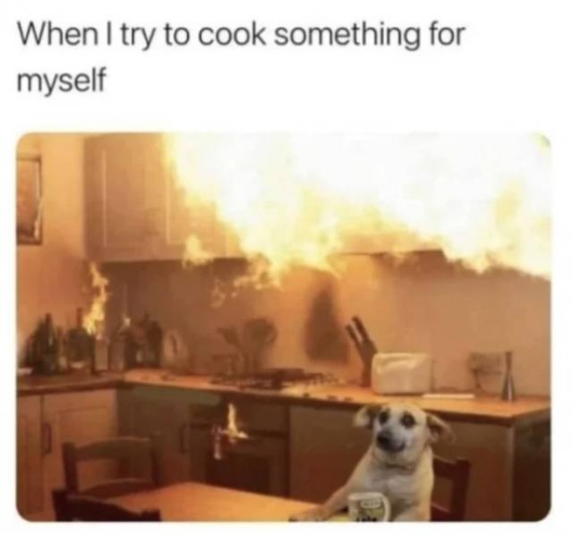 Random Memes (25 pics)