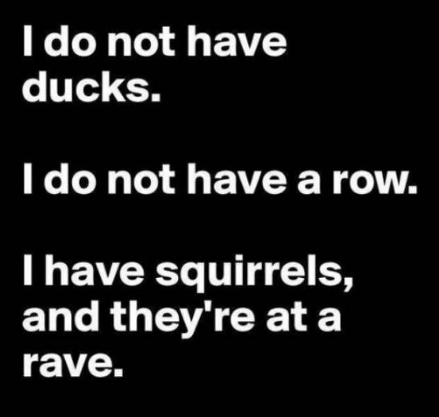 Random Memes (25 pics)