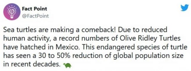 Interesting Facts (31 pics)