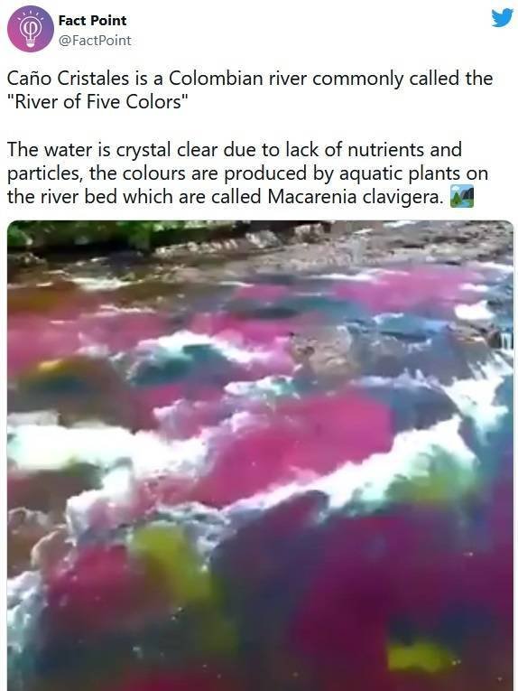 Interesting Facts (31 pics)