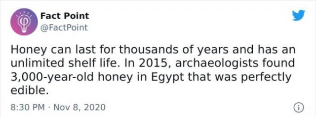 Interesting Facts (31 pics)