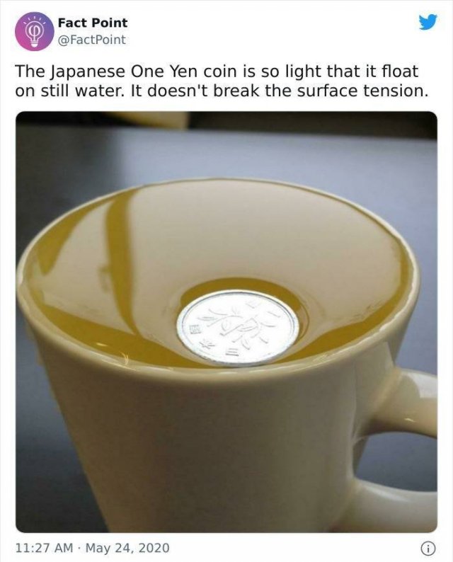 Interesting Facts (31 pics)