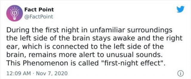 Interesting Facts (31 pics)