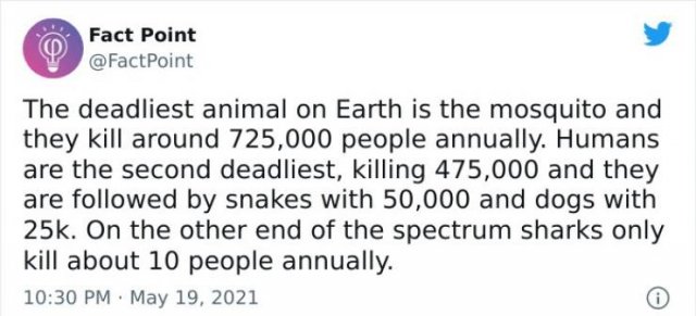 Interesting Facts (31 pics)