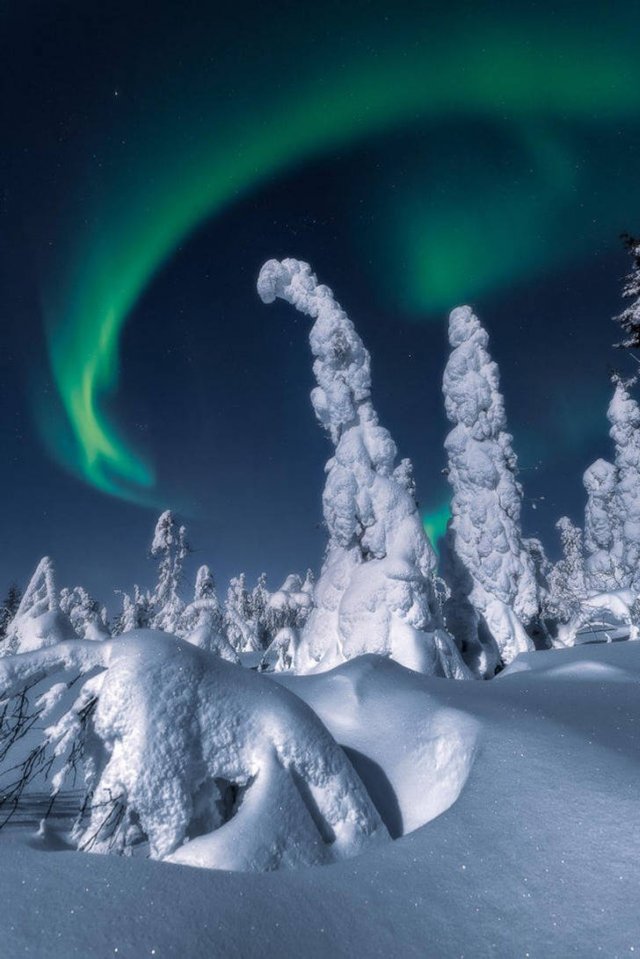 Winter Photos (17 pics)