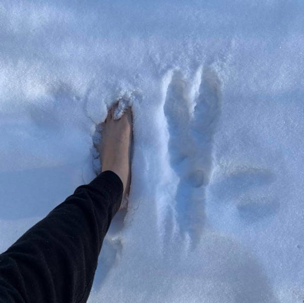 Winter Photos (17 pics)