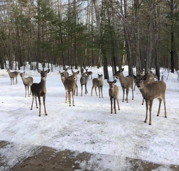 Winter Photos (17 pics)