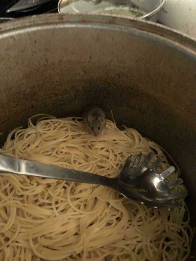 Bad Days Happen (40 pics)