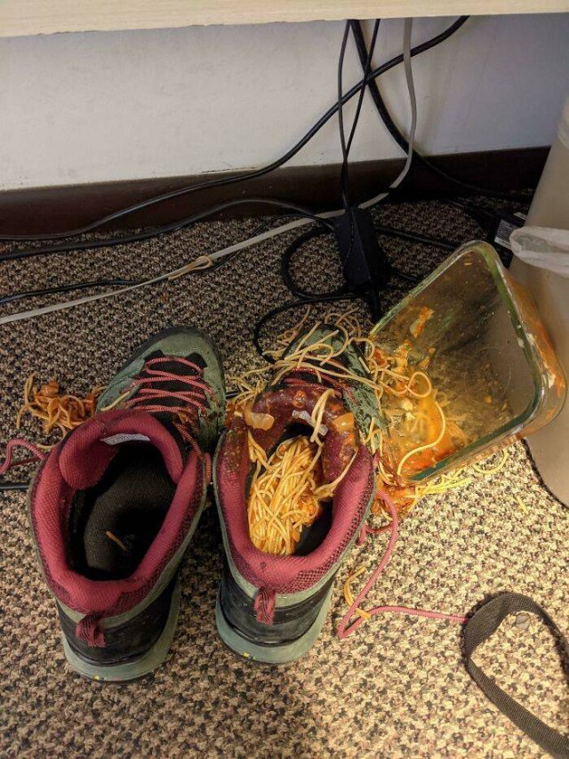 Bad Days Happen (40 pics)