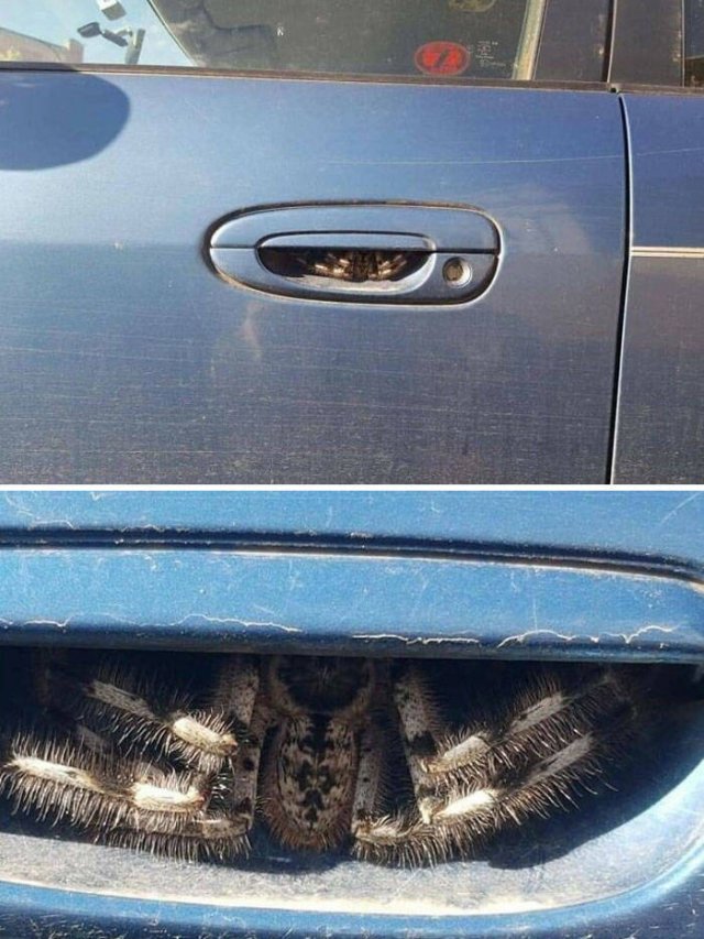 Bad Days Happen (40 pics)