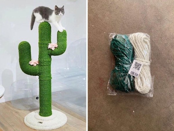Failed Purchases (29 pics)