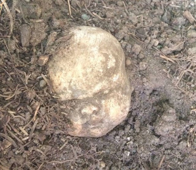 Creepy Finds In Houses (24 pics) Creepy Finds In Houses (24 pics)