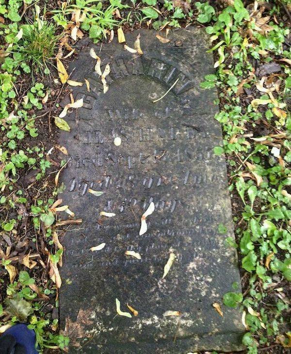 Creepy Finds In Houses (24 pics) Creepy Finds In Houses (24 pics)