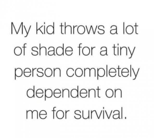 Parents Memes (24 pics)