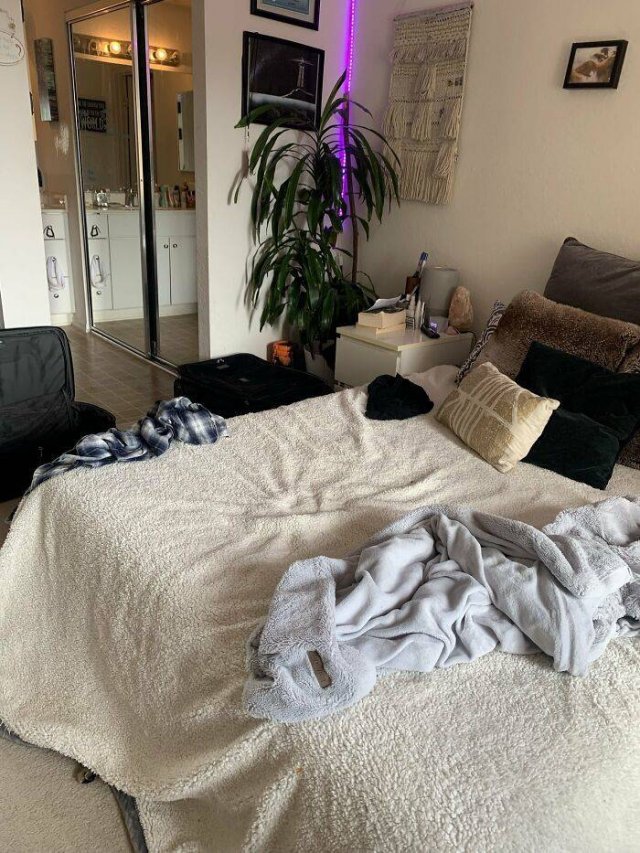 Find A Cat (29 pics)