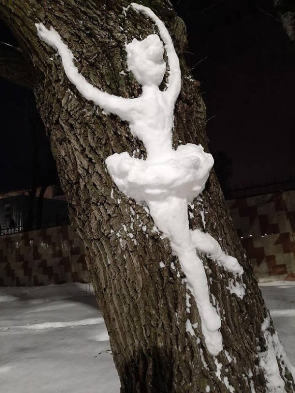 Snow Sculptures On Trees (20 pics)