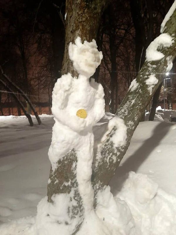 Snow Sculptures On Trees (20 pics)