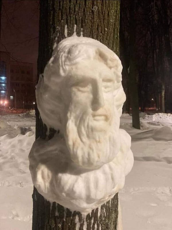 Snow Sculptures On Trees (20 pics)