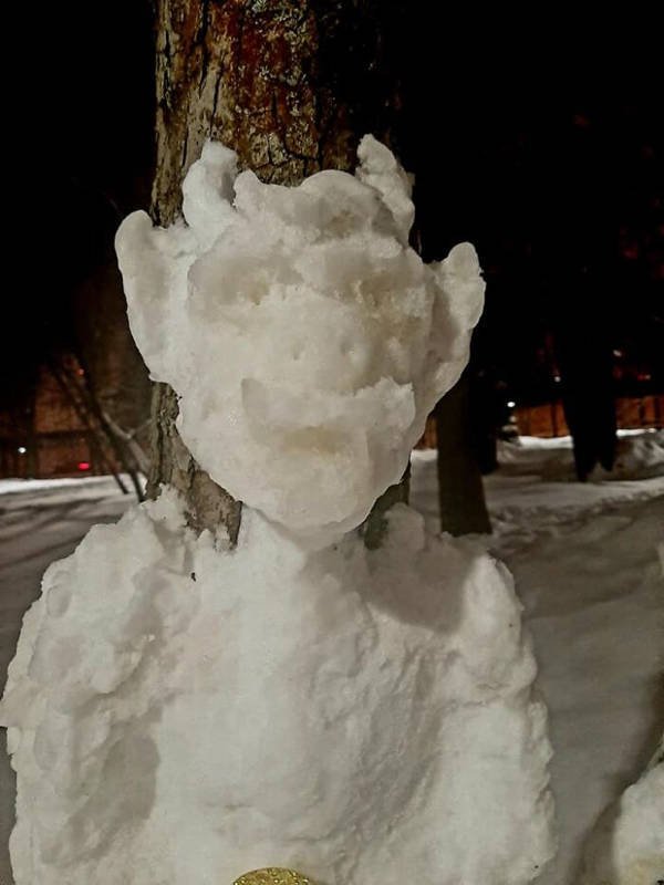 Snow Sculptures On Trees (20 pics)