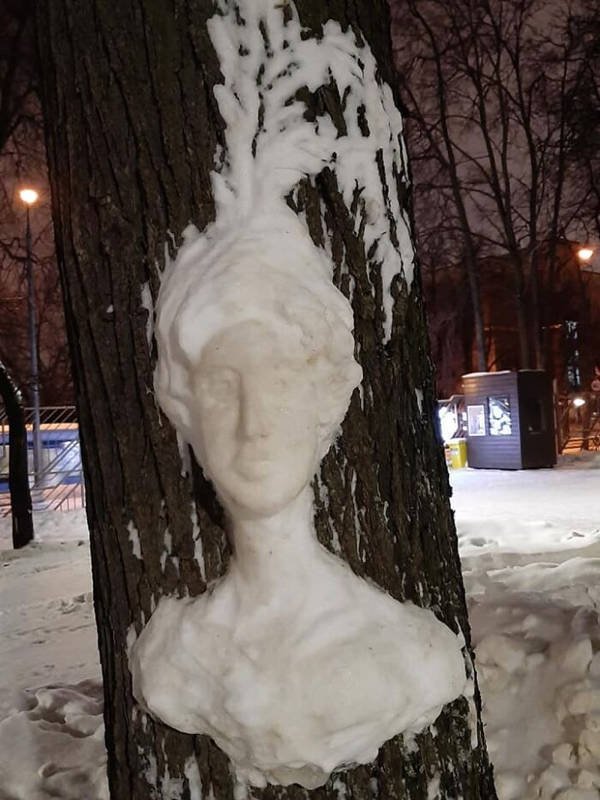 Snow Sculptures On Trees (20 pics)
