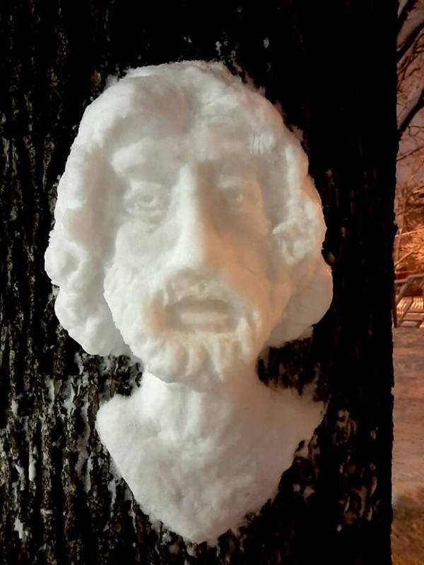 Snow Sculptures On Trees (20 pics)