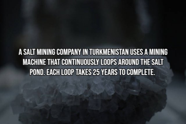 Interesting Facts (17 pics)