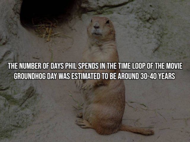 Interesting Facts (17 pics)