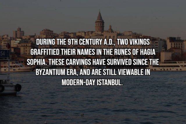 Interesting Facts (17 pics)