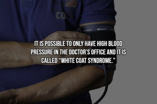 Interesting Facts (17 pics)