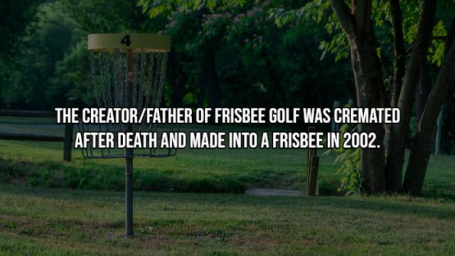 Interesting Facts (17 pics)