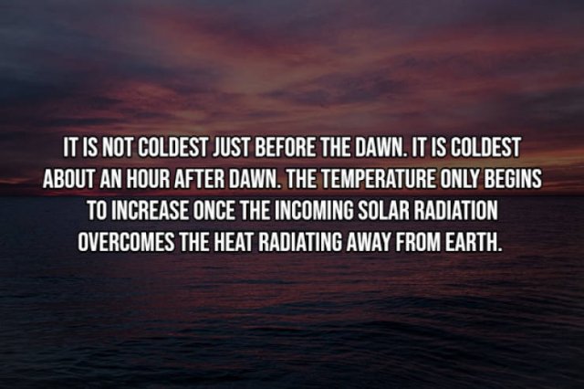 Interesting Facts (17 pics)