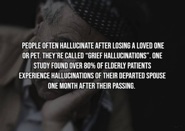 Interesting Facts (17 pics)