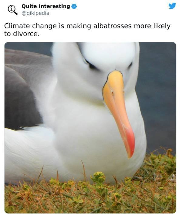 Random Facts (23 pics)