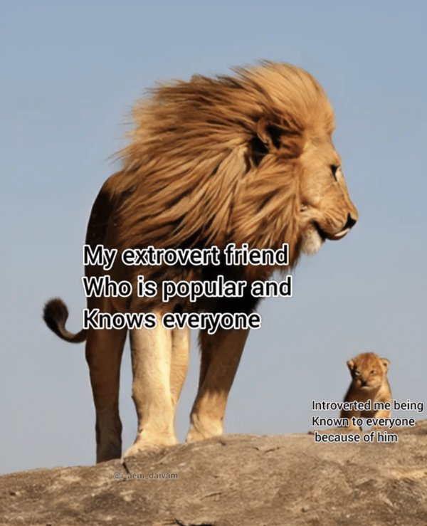Animal Memes (34 pics)