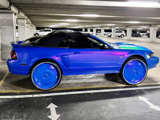 Terrible Finds (46 pics)