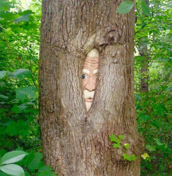 Terrible Finds (46 pics)