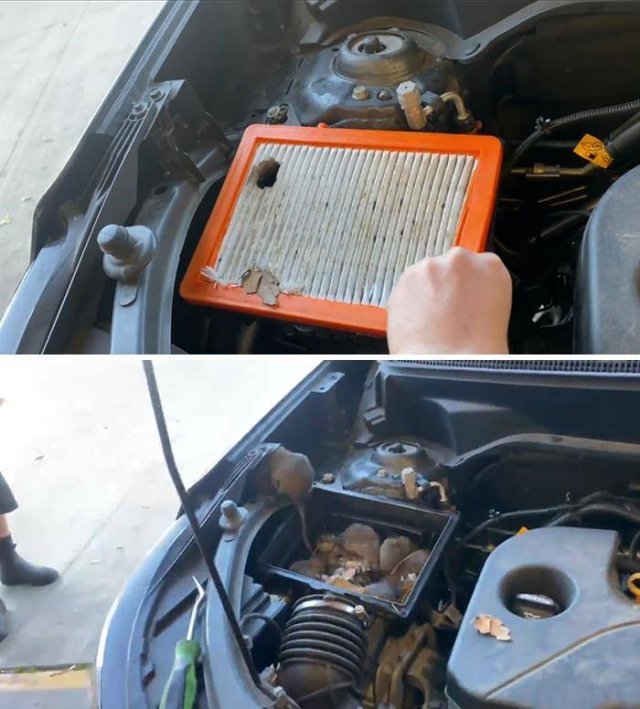 Car Mechanics Photos (34 pics)