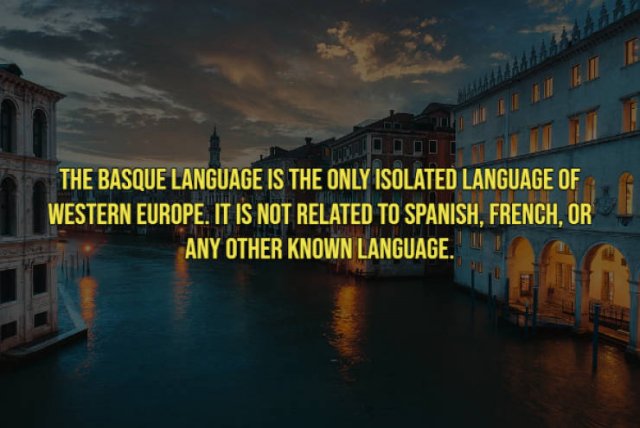 Random Facts (17 pics)