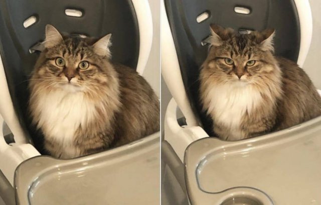 Before And After Photos (15 pics) Before And After Photos (15 pics)
